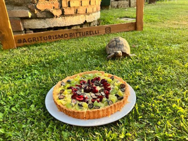 Agriturismo Bitturelli ポンティ・スル・ミンチョ エクステリア 写真