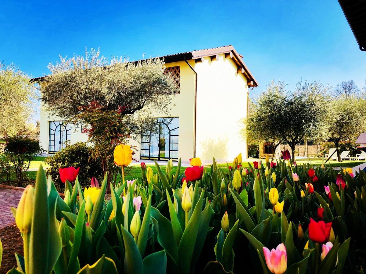 Agriturismo Bitturelli ポンティ・スル・ミンチョ エクステリア 写真